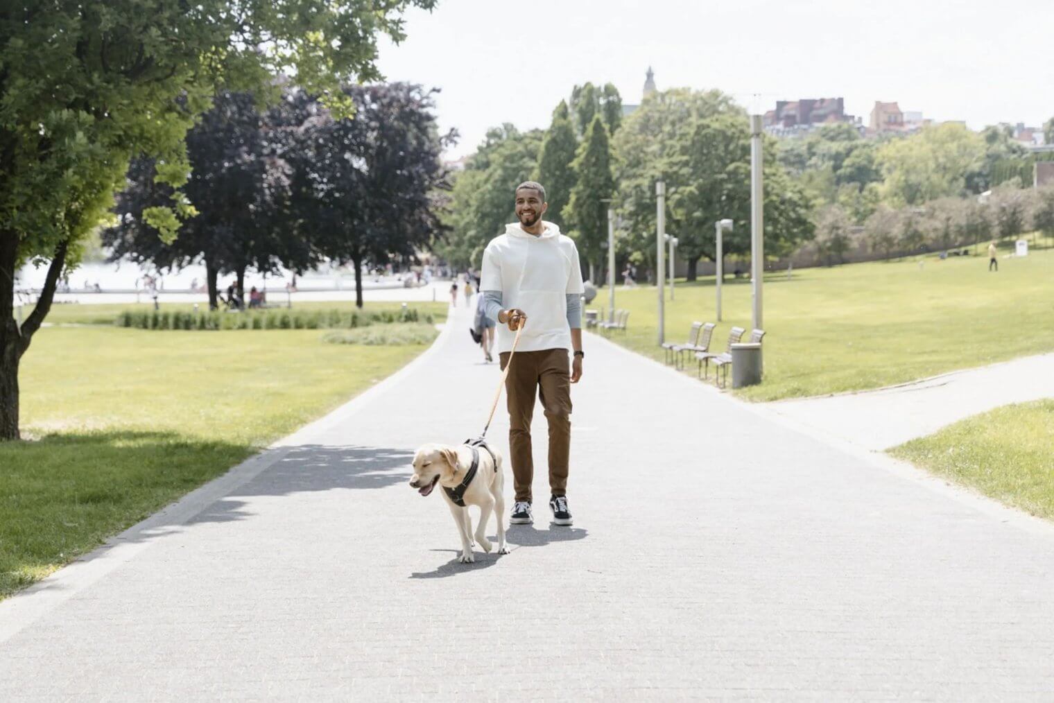 man walking dog near of the domain citygate apartments in naperville